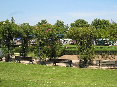 c0212741_5351044.jpg