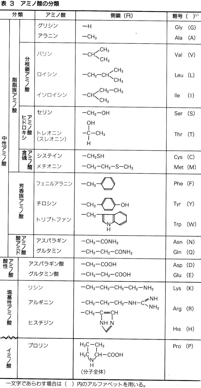 有機物（たんぱく質・アミノ酸ーⅠ）_b0153454_1905728.jpg