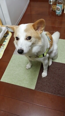 f0046854_2129219.jpg