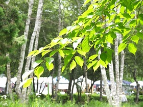 e0230760_17380954.jpg