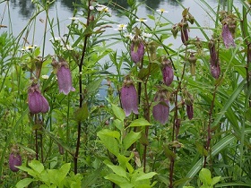 e0230760_17383180.jpg