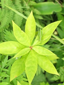 e0230760_17384697.jpg