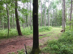 e0230760_17385833.jpg