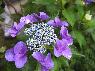 e0230760_17390517.jpg
