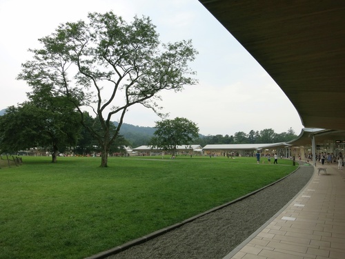 f0236260_12808.jpg