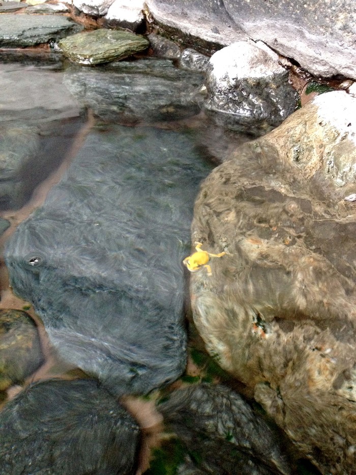 c0198263_1464452.jpg