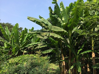 夏の松ヶ丘公民館_a0191183_18134490.jpg