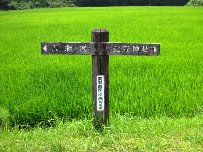 中山道・大湫宿から細久手宿まで歩きました（7月23日）_d0021786_221945100.jpg