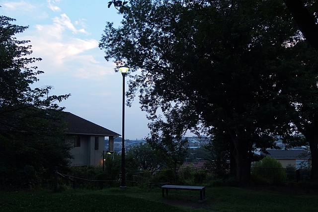 d0288789_23390013.jpg