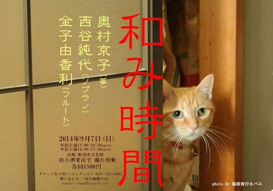 くぅ雨か。 でも!ぜひ今夜はメディアシップいかがですか!_e0046190_17242544.jpg