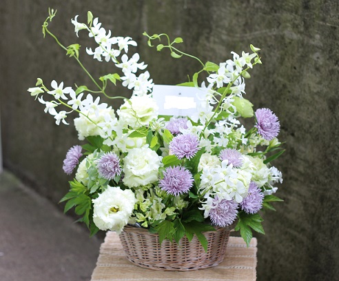 夏の切り花 春てりんの植物日記