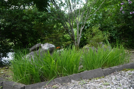 f0353990_17041348.jpg