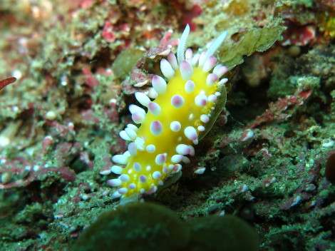 e0115199_17355703.jpg
