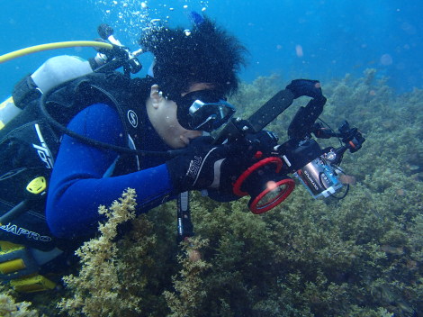 e0115199_17401121.jpg