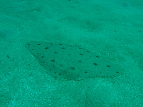 e0115199_18515752.jpg