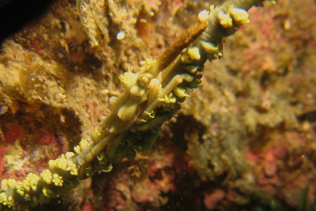 e0115199_20160698.jpg