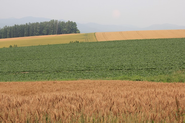 a0123003_1354392.jpg