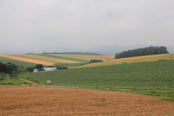 北海道旅行　美瑛　富良野　青い池_a0123003_13592750.jpg