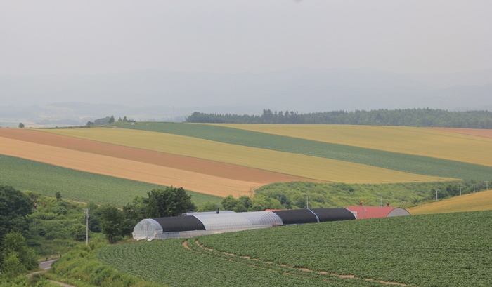 北海道旅行　美瑛　富良野　青い池_a0123003_13594648.jpg