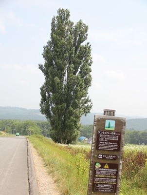 a0123003_812477.jpg
