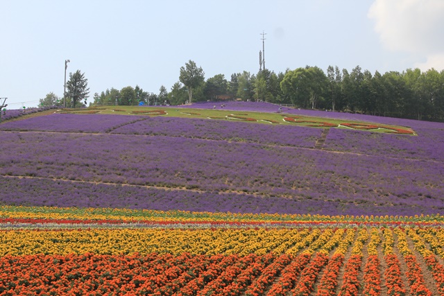 北海道旅行　美瑛　富良野　青い池_a0123003_8405163.jpg