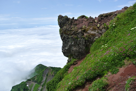 c0242406_725087.jpg