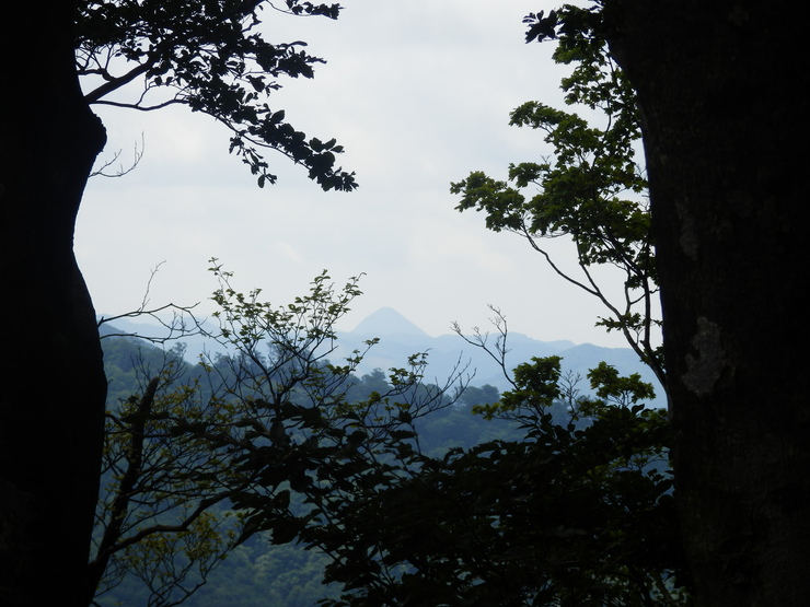 f0219710_7123586.jpg