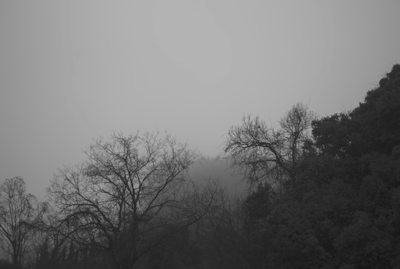 f0251613_6304798.gif