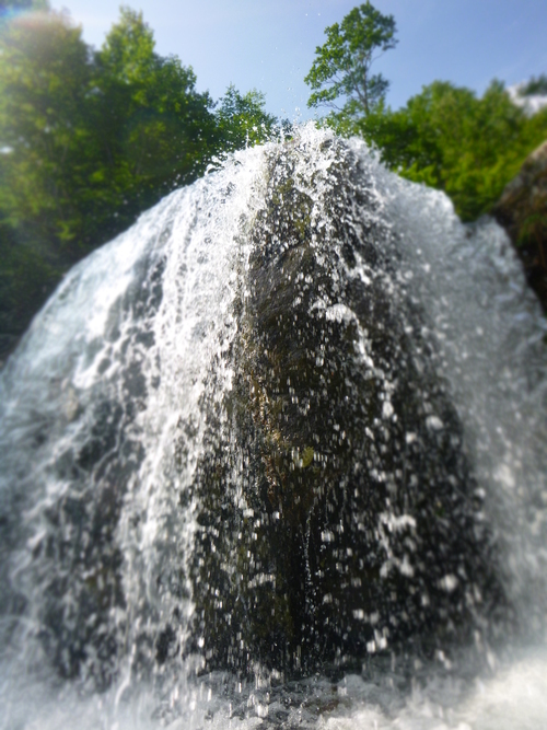 a0236914_1417147.jpg