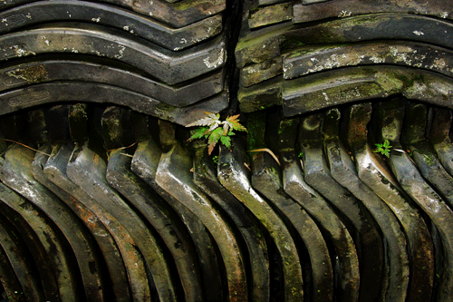 c0168815_02194589.gif