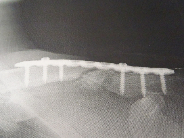 c0223419_11403831.jpg