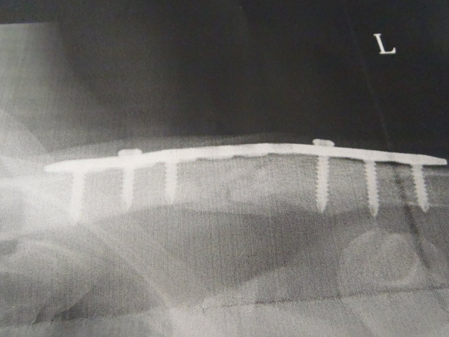 c0223419_11423165.jpg