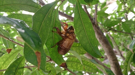 f0220919_16342071.jpg