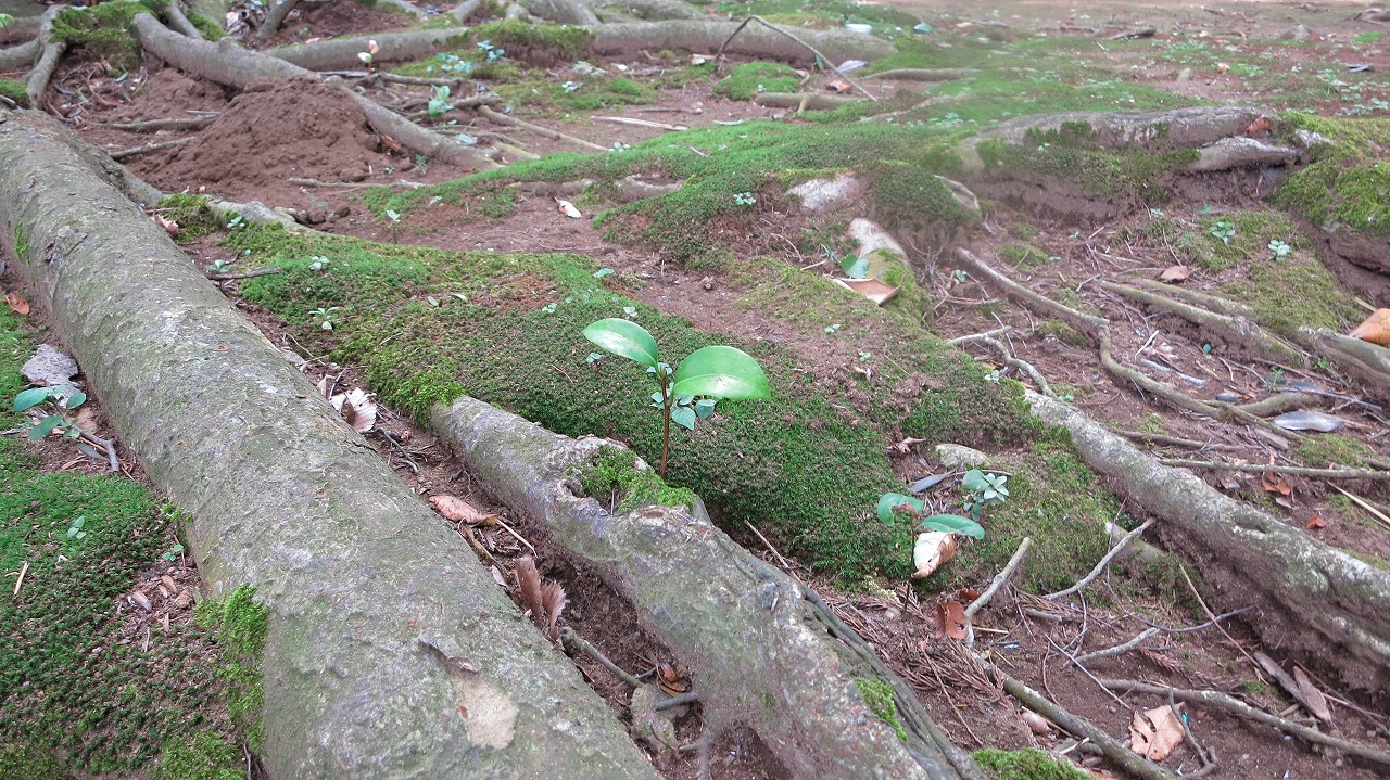 f0225627_20009.jpg