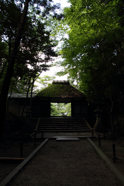 南禅寺・盛夏 －法然院－_b0169330_23422537.jpg