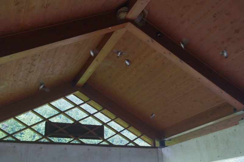 c0113733_0374681.jpg