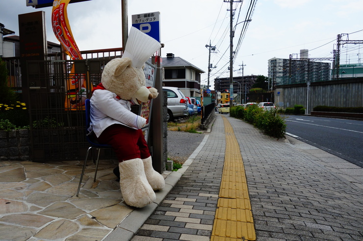 a0287336_373592.jpg