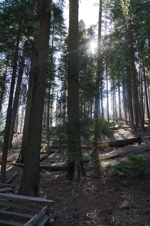 e0295348_1228463.jpg