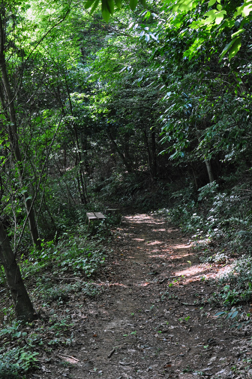 b0214652_16472952.jpg