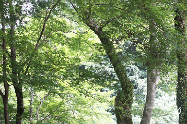 d0110462_16144728.gif