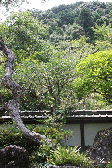 d0110462_16151165.gif