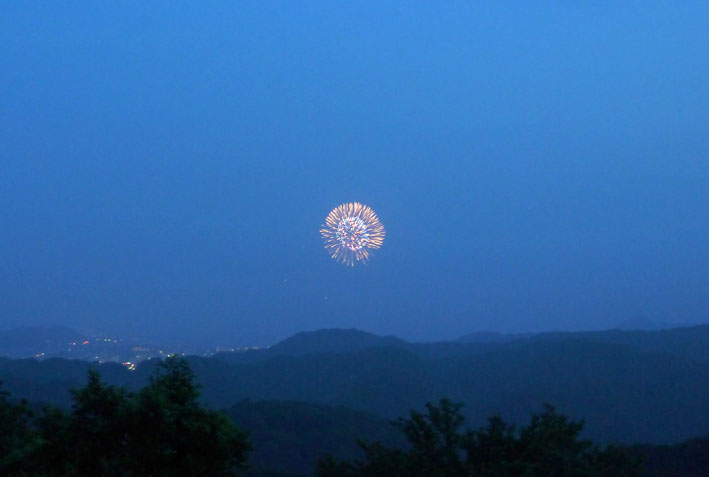 夜空彩る鎌倉花火大会を六国見山展望台から堪能7・23_c0014967_6302944.jpg