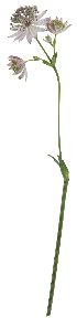 d0243667_20471847.png