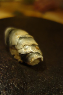 c0318469_04169.jpg