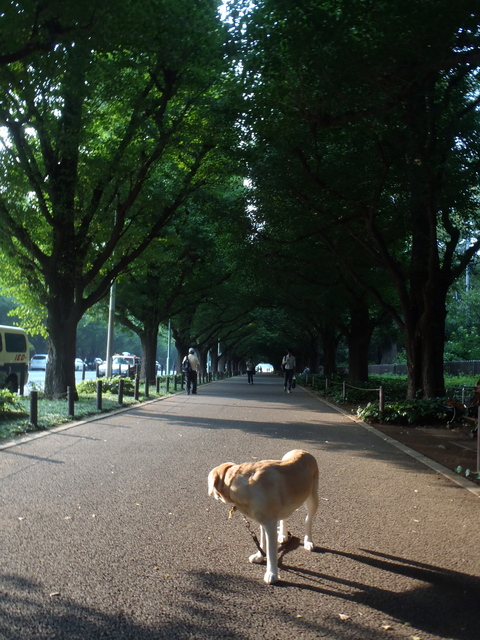 今宵我が家は蓼科 なう_f0052277_3583082.jpg