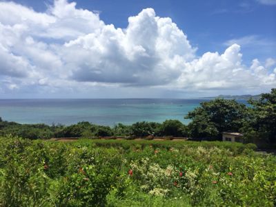 c0235278_9371667.jpg