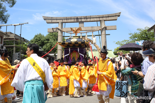 いくたま夏祭2014(本宮その1)_e0271181_18272381.jpg