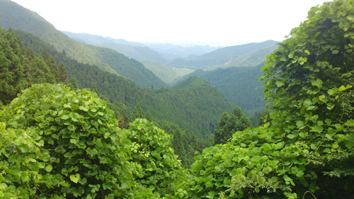 b0144082_82571.jpg