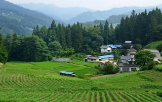 我が家についたのは白馬を出てから13時間後....不思議と...._b0194185_22503150.jpg