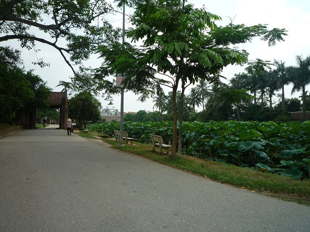 b0287088_20452541.jpg